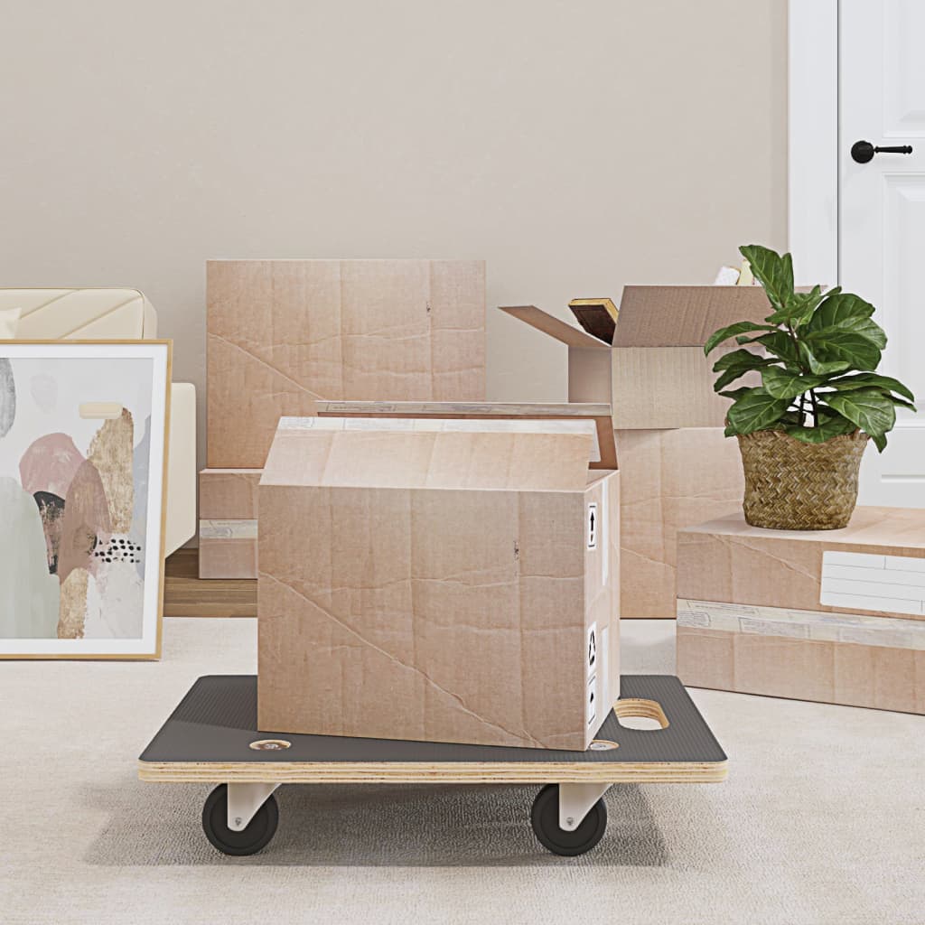 Transport Trolleys 2 pcs Rectangular 60x40x11,5 cm 250 kg